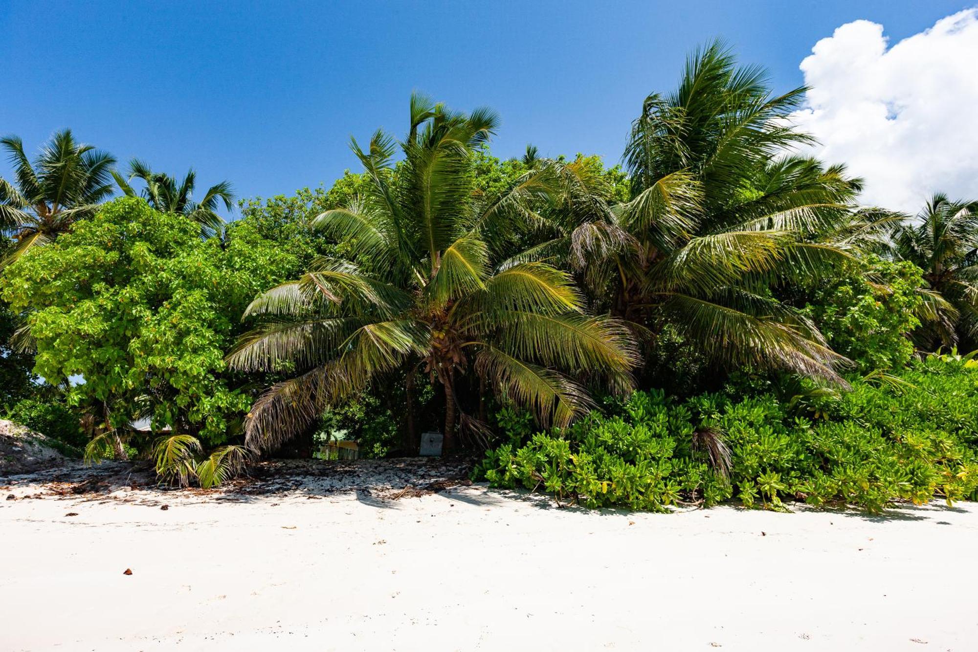 Bijoutier Apartments Grand Anse  Luaran gambar